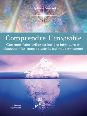 cover image of Comprendre l'invisible